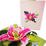Pink Lily Bloom 3D Pop Up Card UK