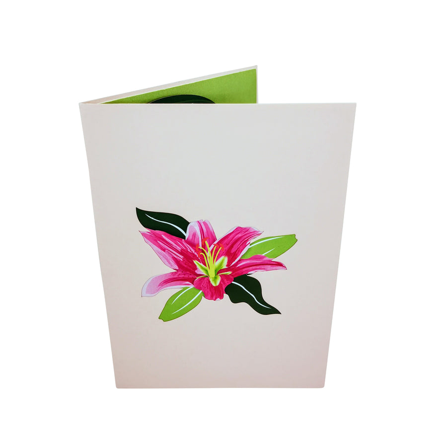 Pink Lily Bloom 3D Pop Up Card UK
