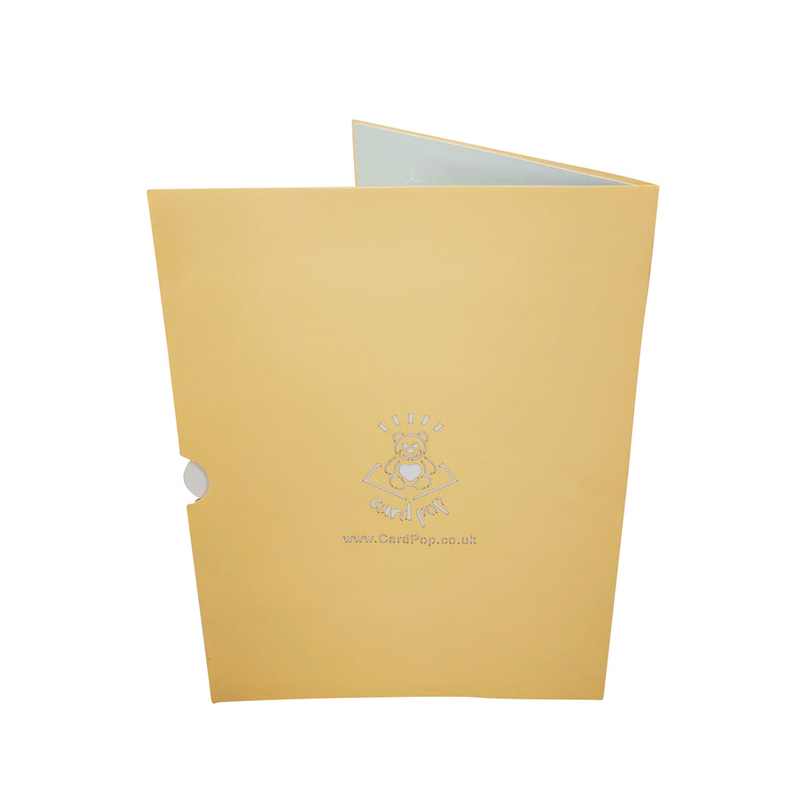 Pirate Birthday Cupcake 3D Pop Up Card UK