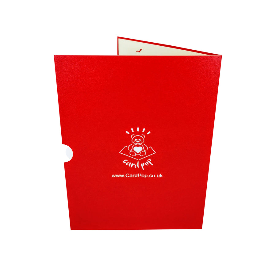 Colourful Sail Ship 3D Pop Up Card