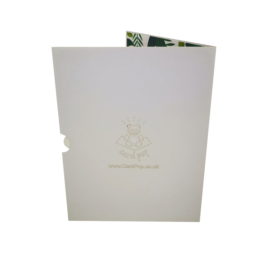 Greenhouse 3D Pop Up Card UK