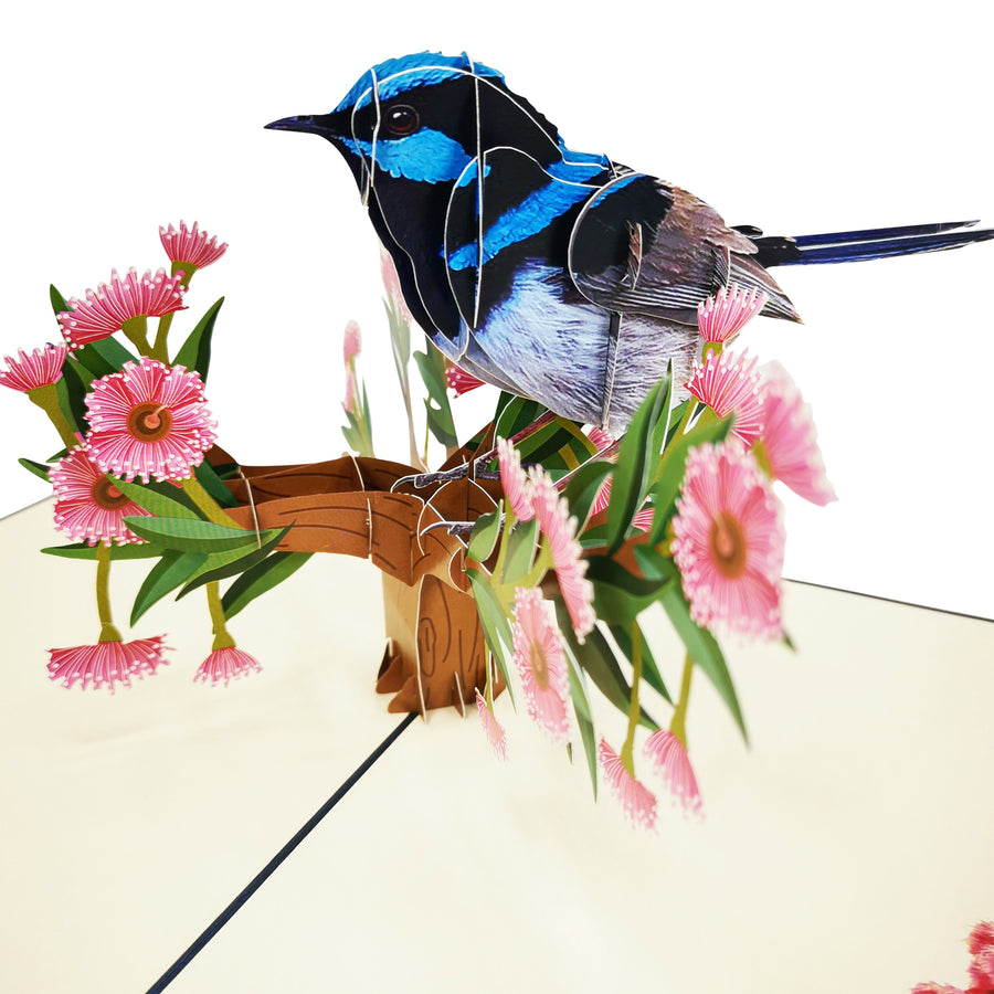 Blue Wren 3D Pop Up Card UK