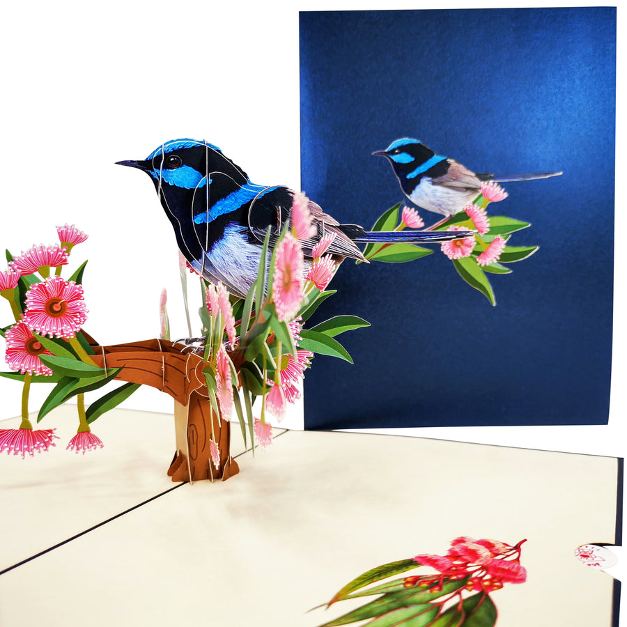 Blue Wren 3D Pop Up Card UK