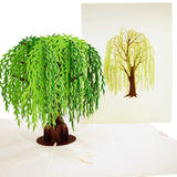 Willow Tree 3D Pop Up Card UK