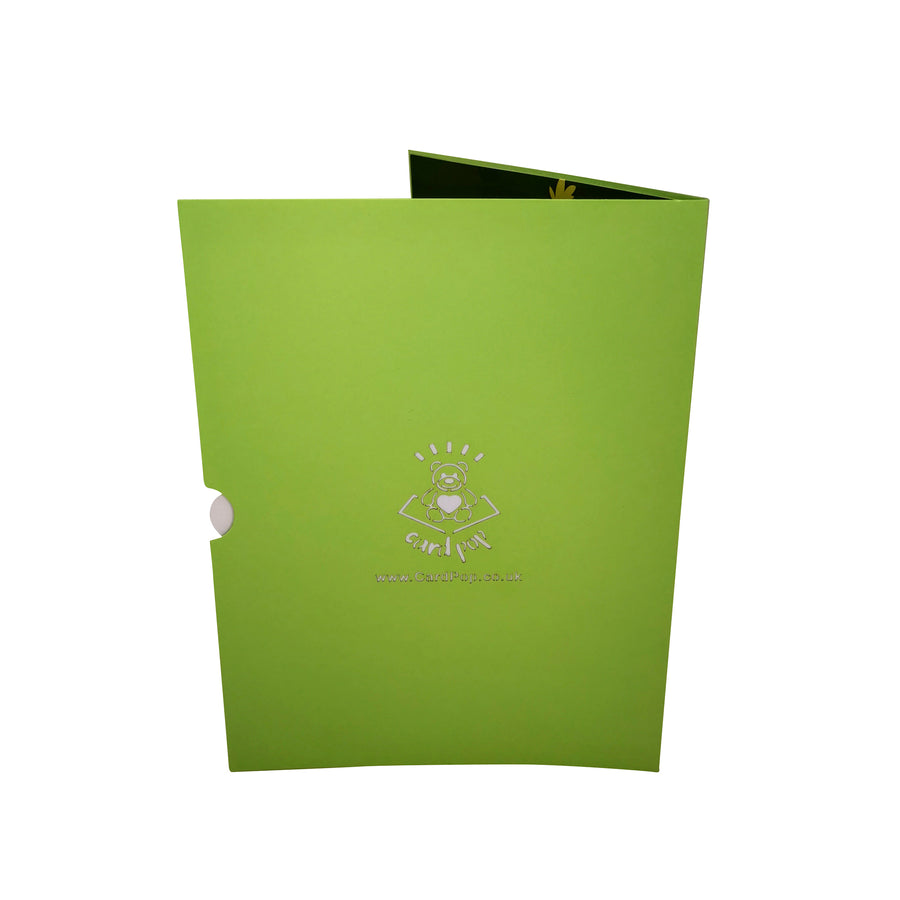 Mixed Flower Garden Planter 3D Pop Up Card UK