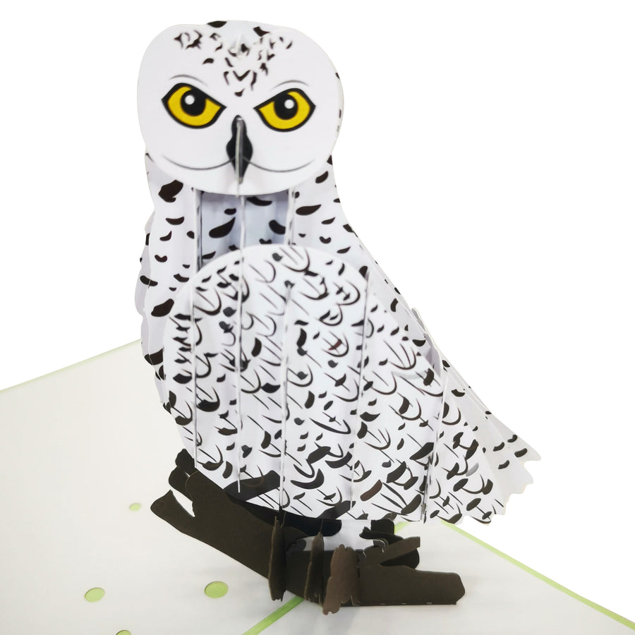 Snow Owl 3D Pop Up Card UK