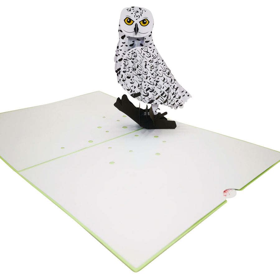 Snow Owl 3D Pop Up Card UK