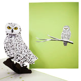 Snow Owl 3D Pop Up Card UK