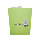 Snow Owl 3D Pop Up Card UK