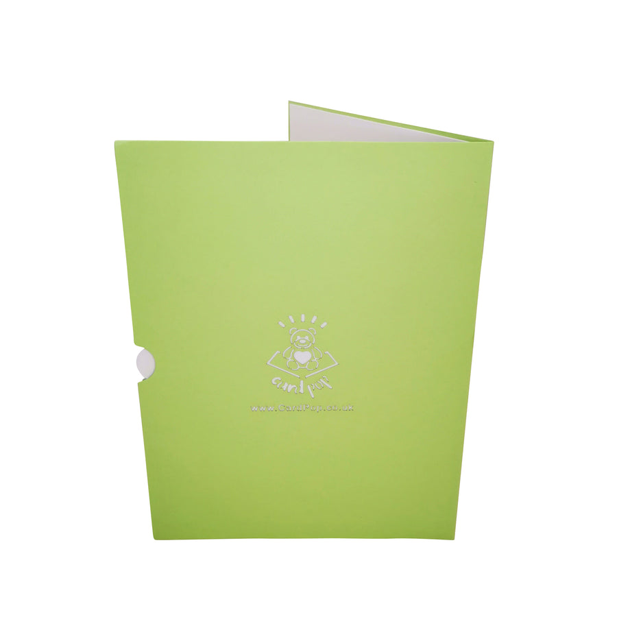 Snow Owl 3D Pop Up Card UK