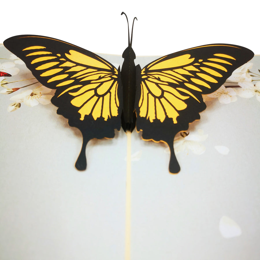 Butterfly On Spring Blossom 3D Pop Up Card UK