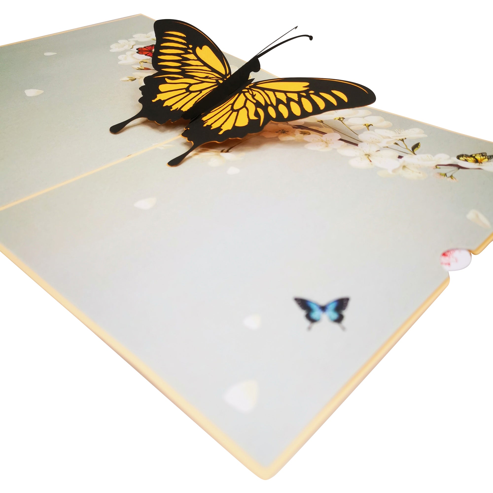 Butterfly On Spring Blossom Pop Up Card Uk