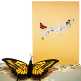 Butterfly On Spring Blossom 3D Pop Up Card UK