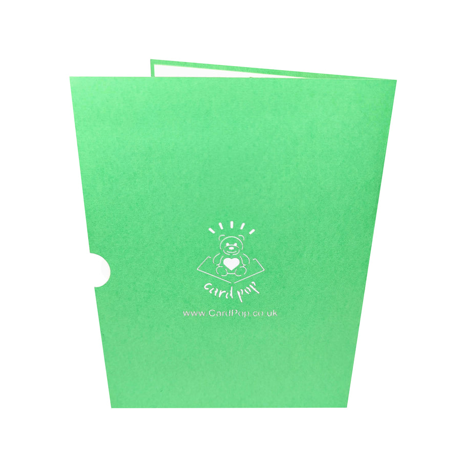 Giraffes on Safari 3D Pop-Up Card UK