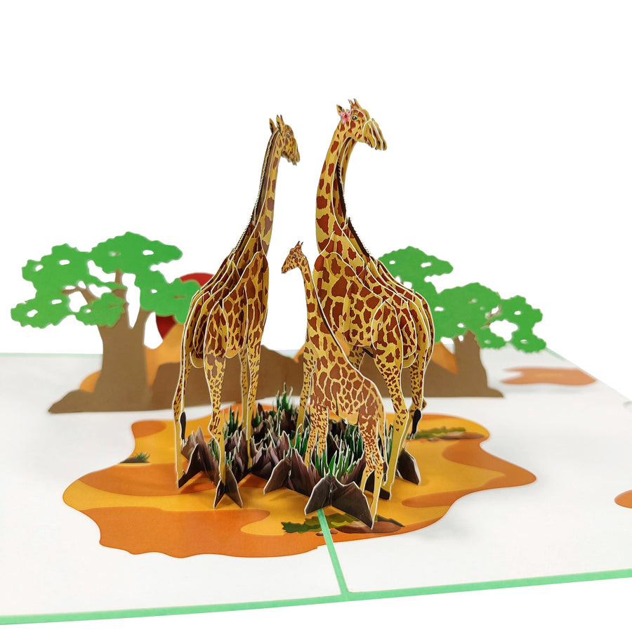 Giraffes on Safari 3D Pop-Up Card UK