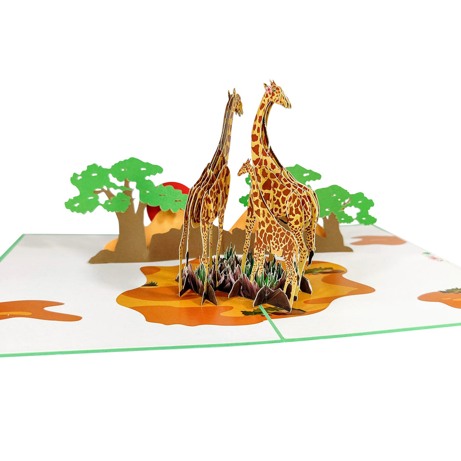Giraffes on Safari 3D Pop-Up Card UK