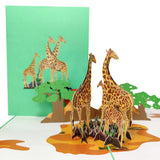 Giraffes on Safari 3D Pop-Up Card UK