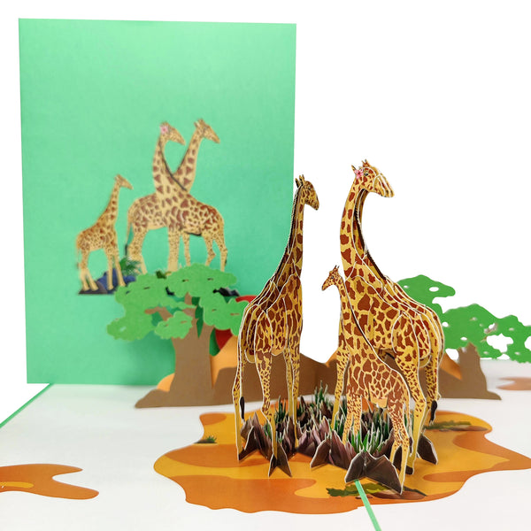Giraffes on Safari Pop-Up Card