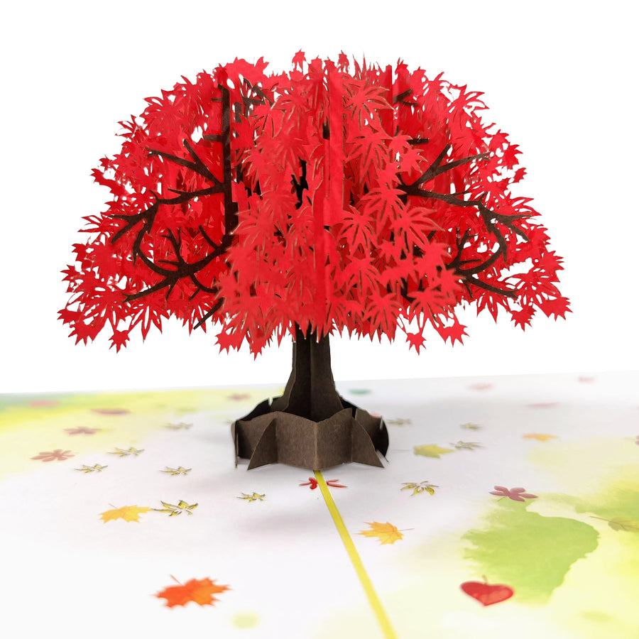 Autumnal Maple Tree 3D Pop-Up Card UK