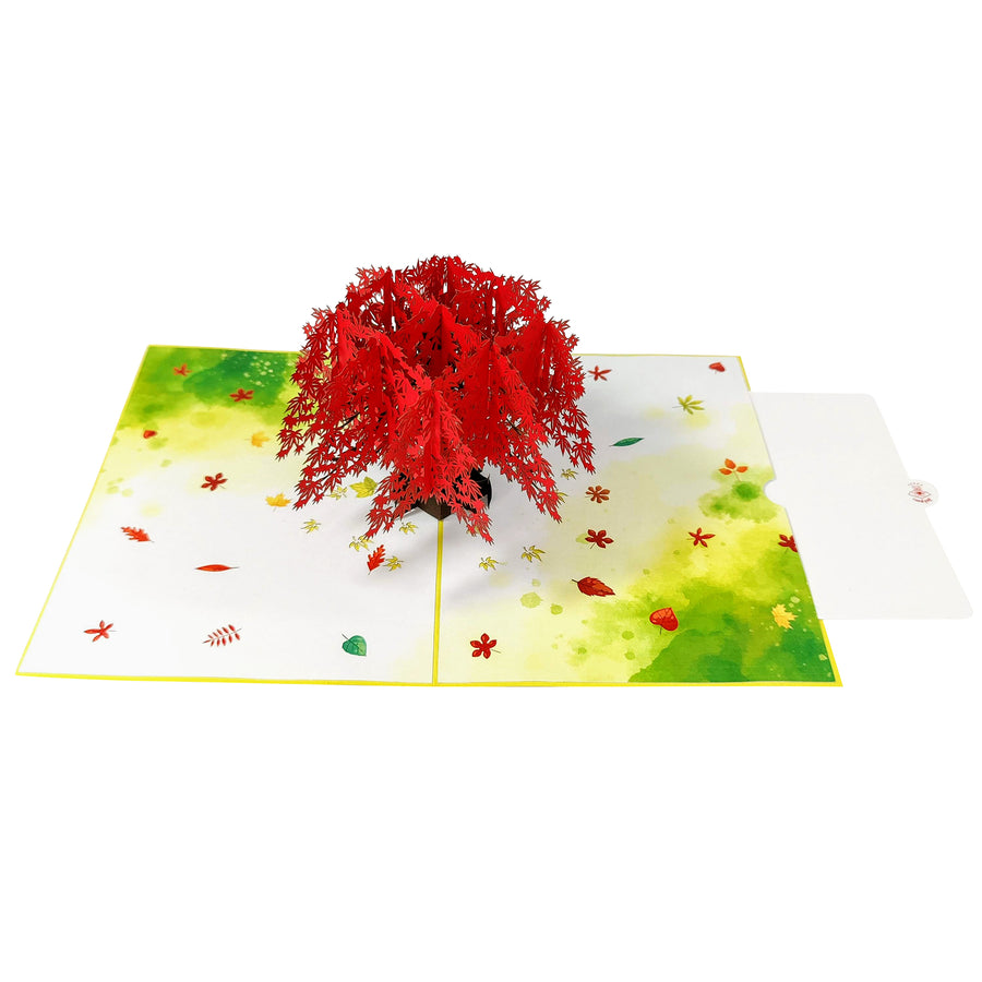 Autumnal Maple Tree 3D Pop-Up Card UK