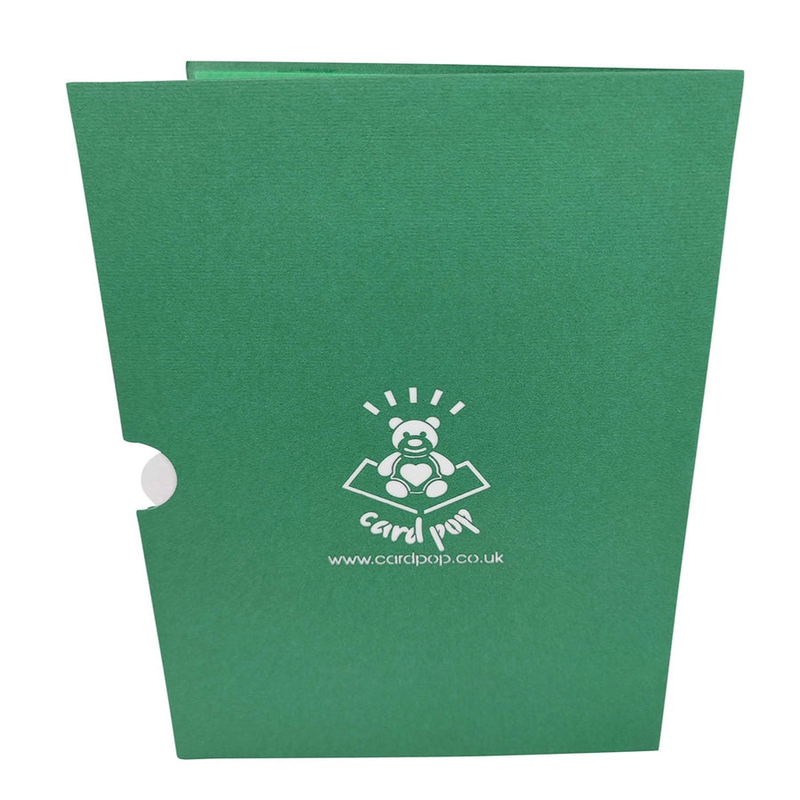 Poinsettia Vase Pop-Up Card