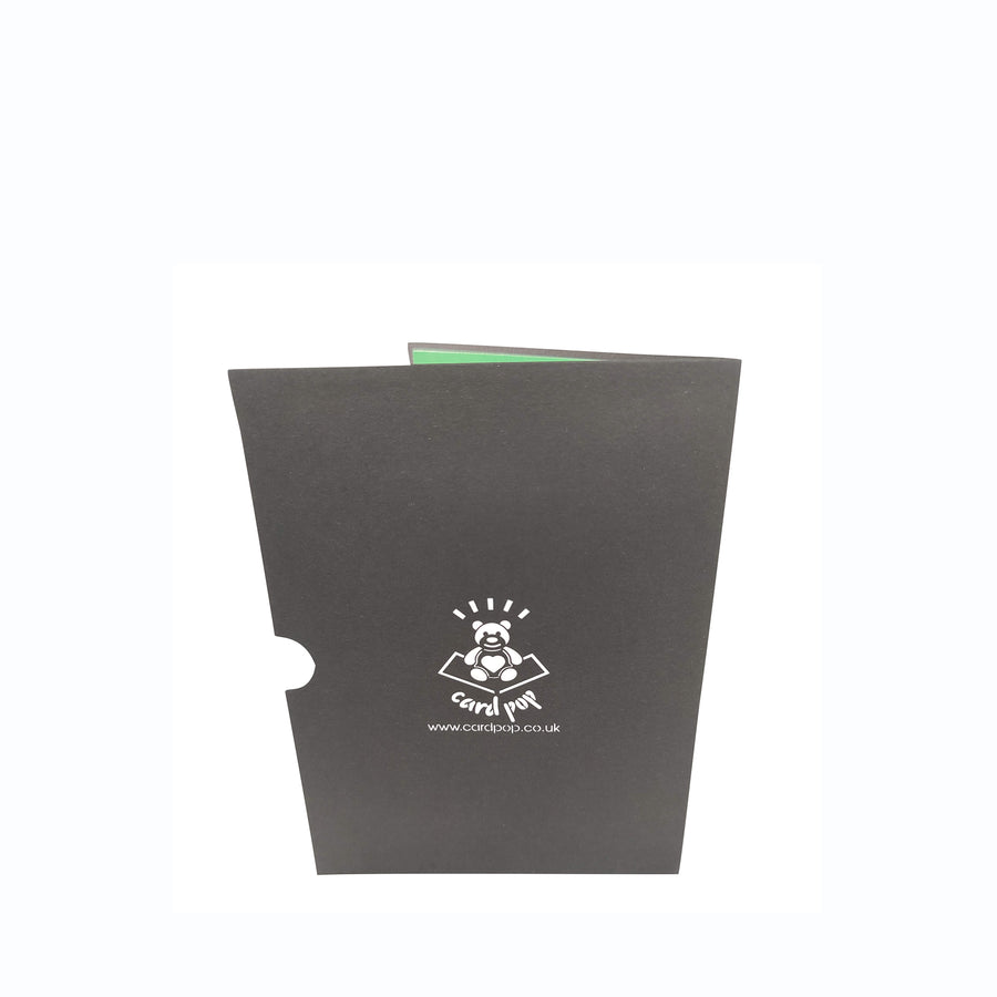 Brown Owl Pop-Up Card