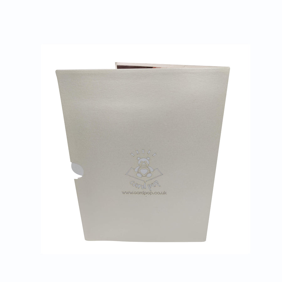 Cats on the Red Sofa Pop-Up Card