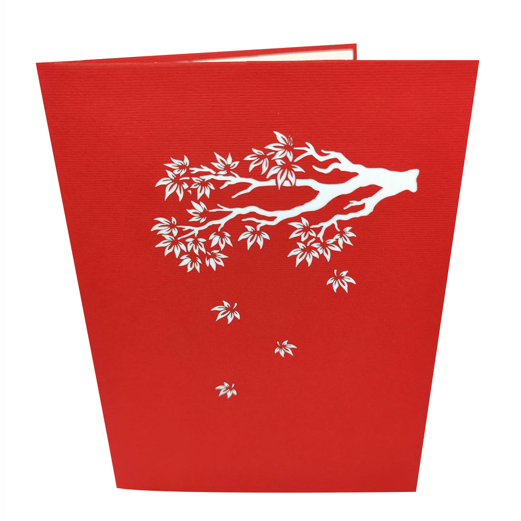 Maple Tree Pop-Up Card – CardPop.co.uk