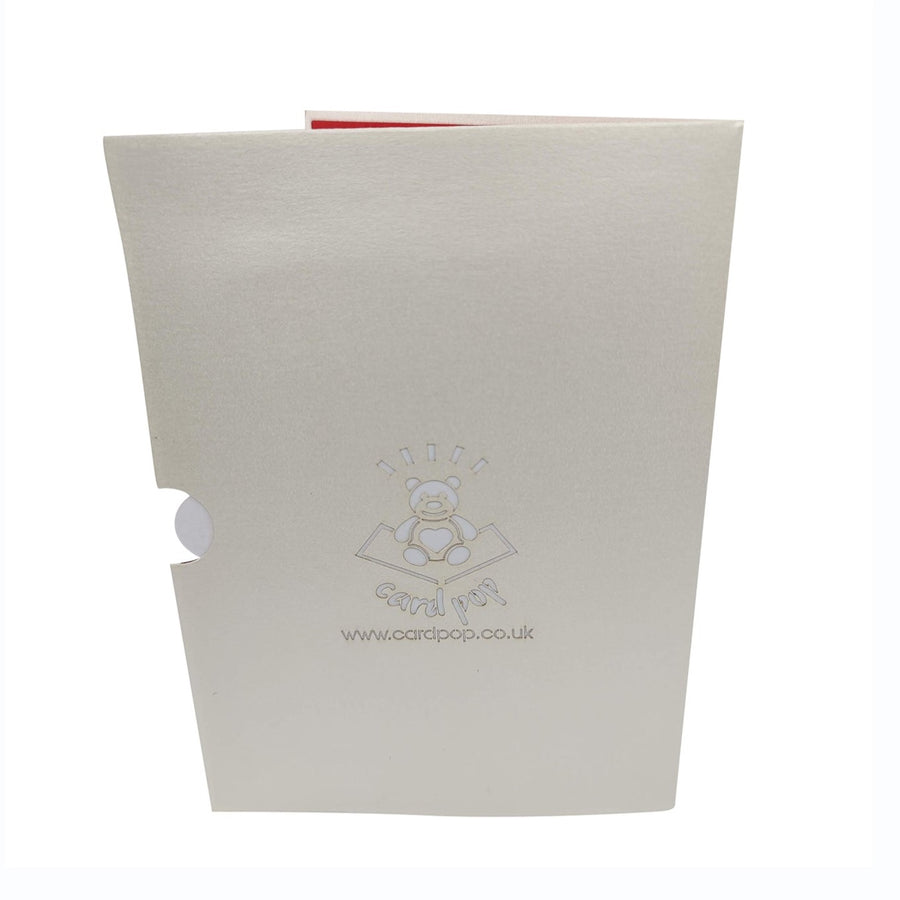 Gerbera Daisy Flower Garden Pop-Up Card