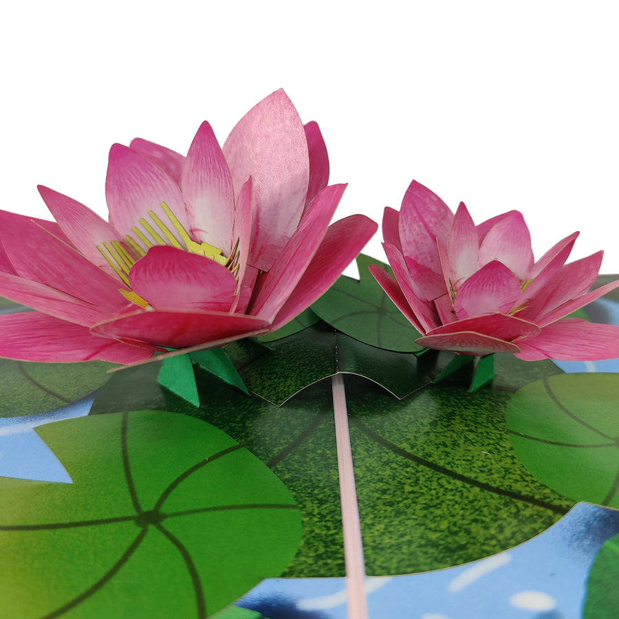 Lily Pad Pop-Up Card