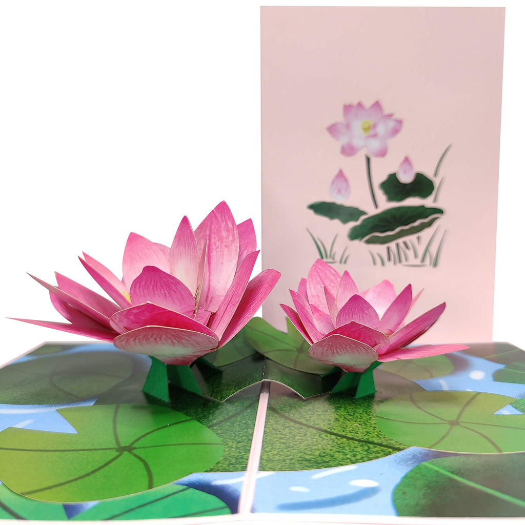 Lily Pad Pop-Up Card – CardPop.co.uk