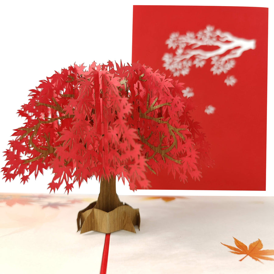 Maple Tree Pop-Up Card