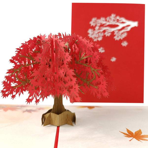 Maple Tree Pop-Up Card