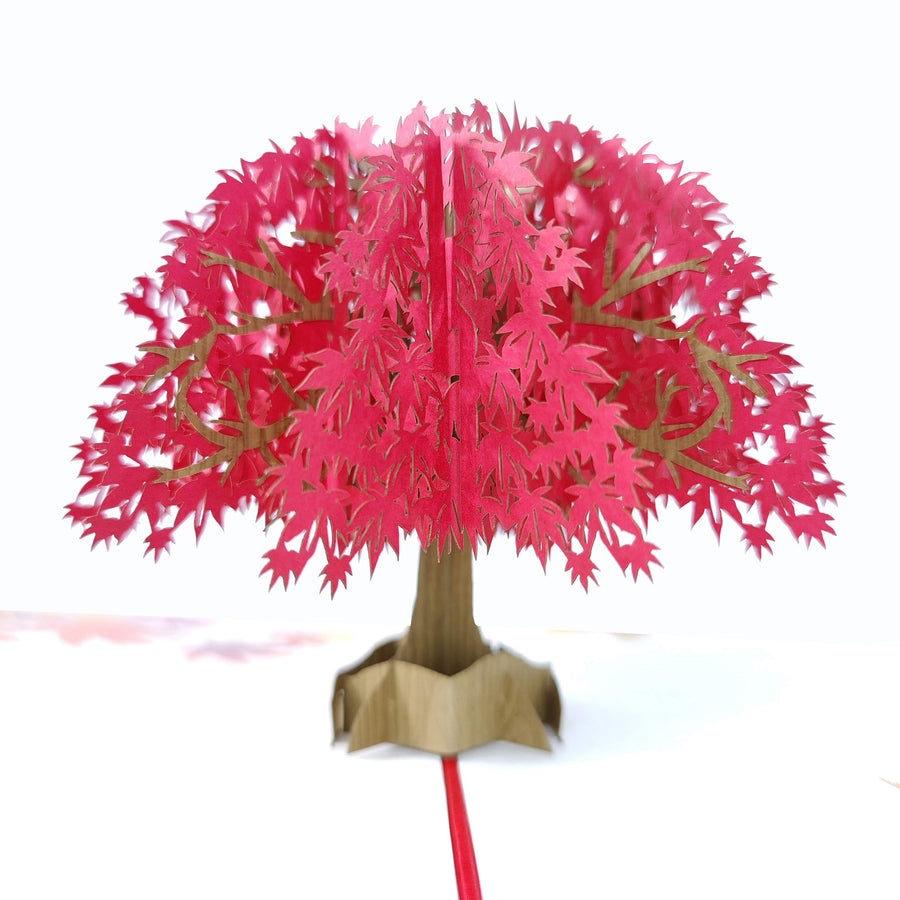 Maple Tree Pop-Up Card