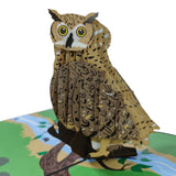 Brown Owl Pop-Up Card