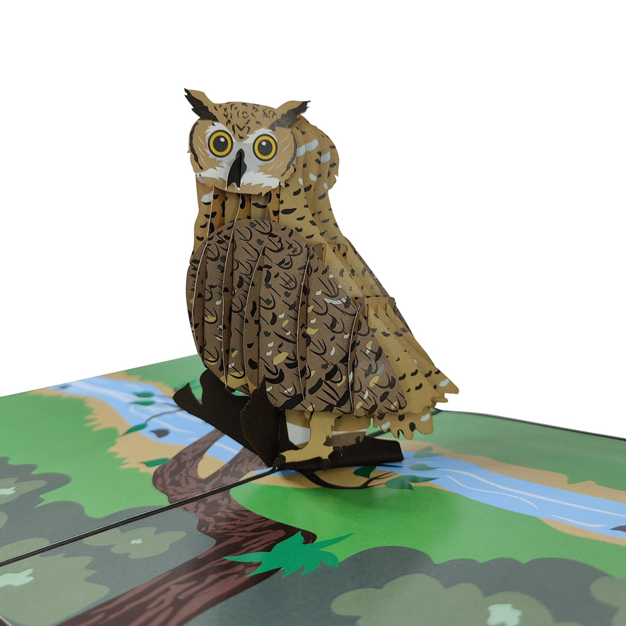 Brown Owl Pop-Up Card