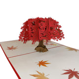 Maple Tree Pop-Up Card