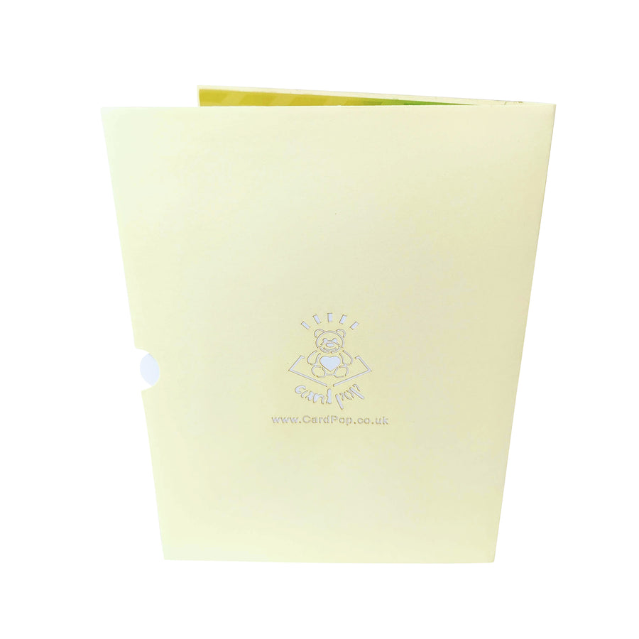 Cricketing Pop-Up Card