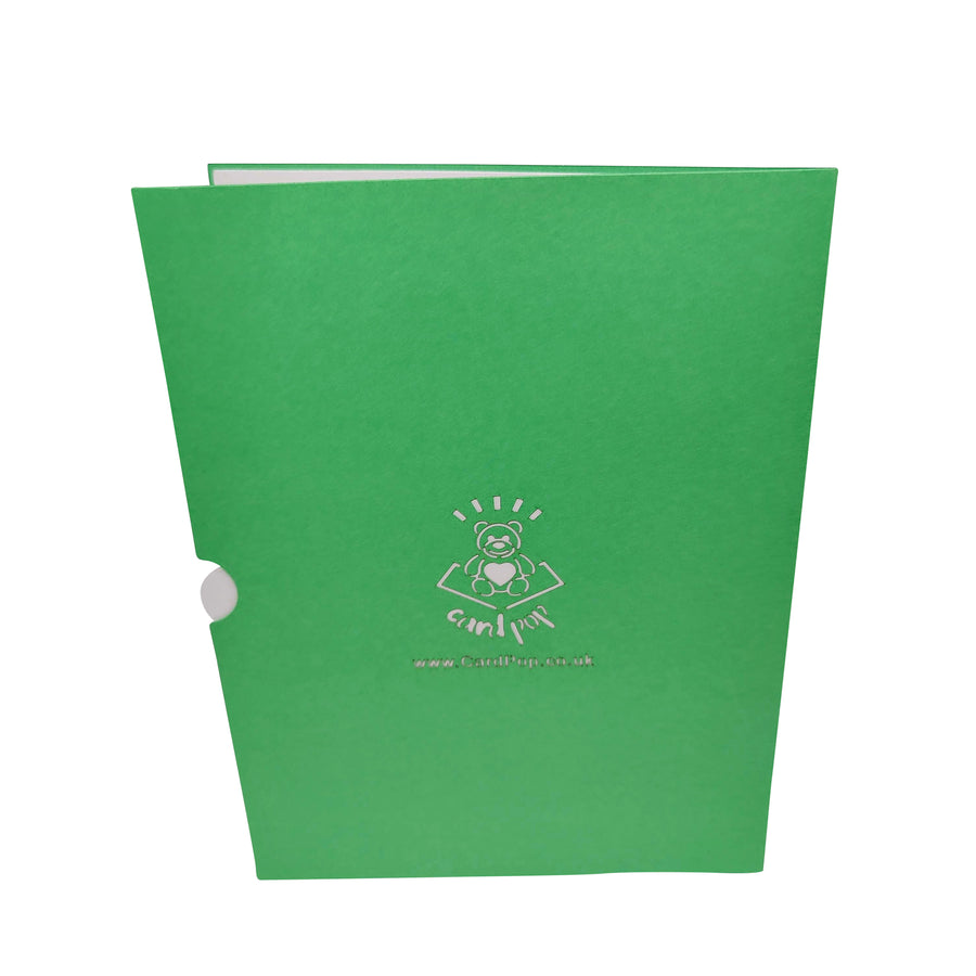 Pink Acoustic Guitar Pop-Up Card